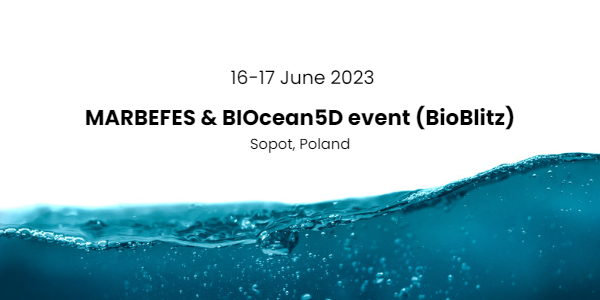 MARBEFES & BIOcean5D event in Sopot (BioBlitz) - thumbnail